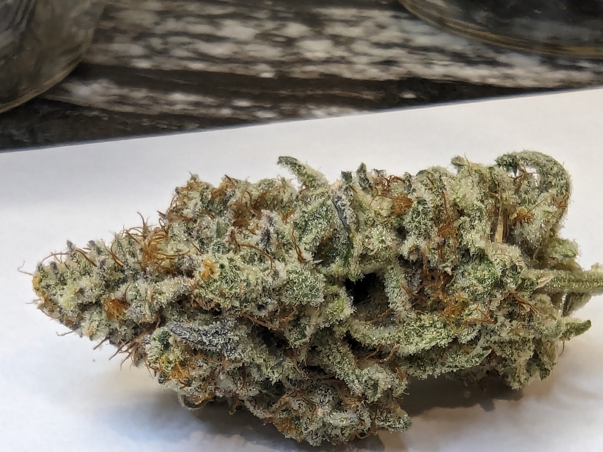 Close-up of premium Canadian-grown cannabis bud under natural light