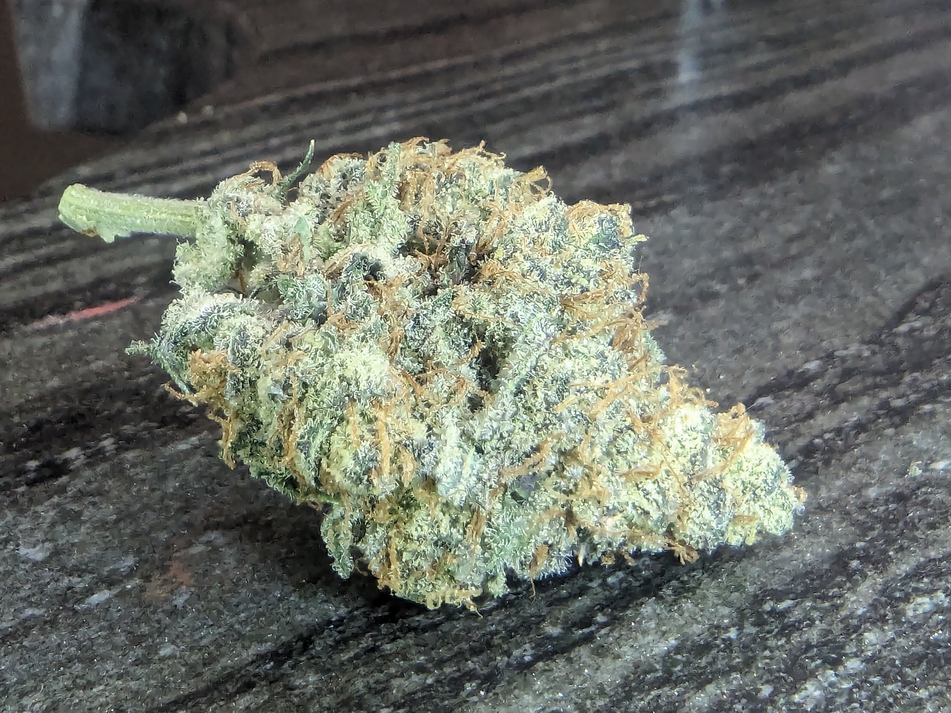 High-quality dried cannabis flower from legal Manitoba cultivation facility