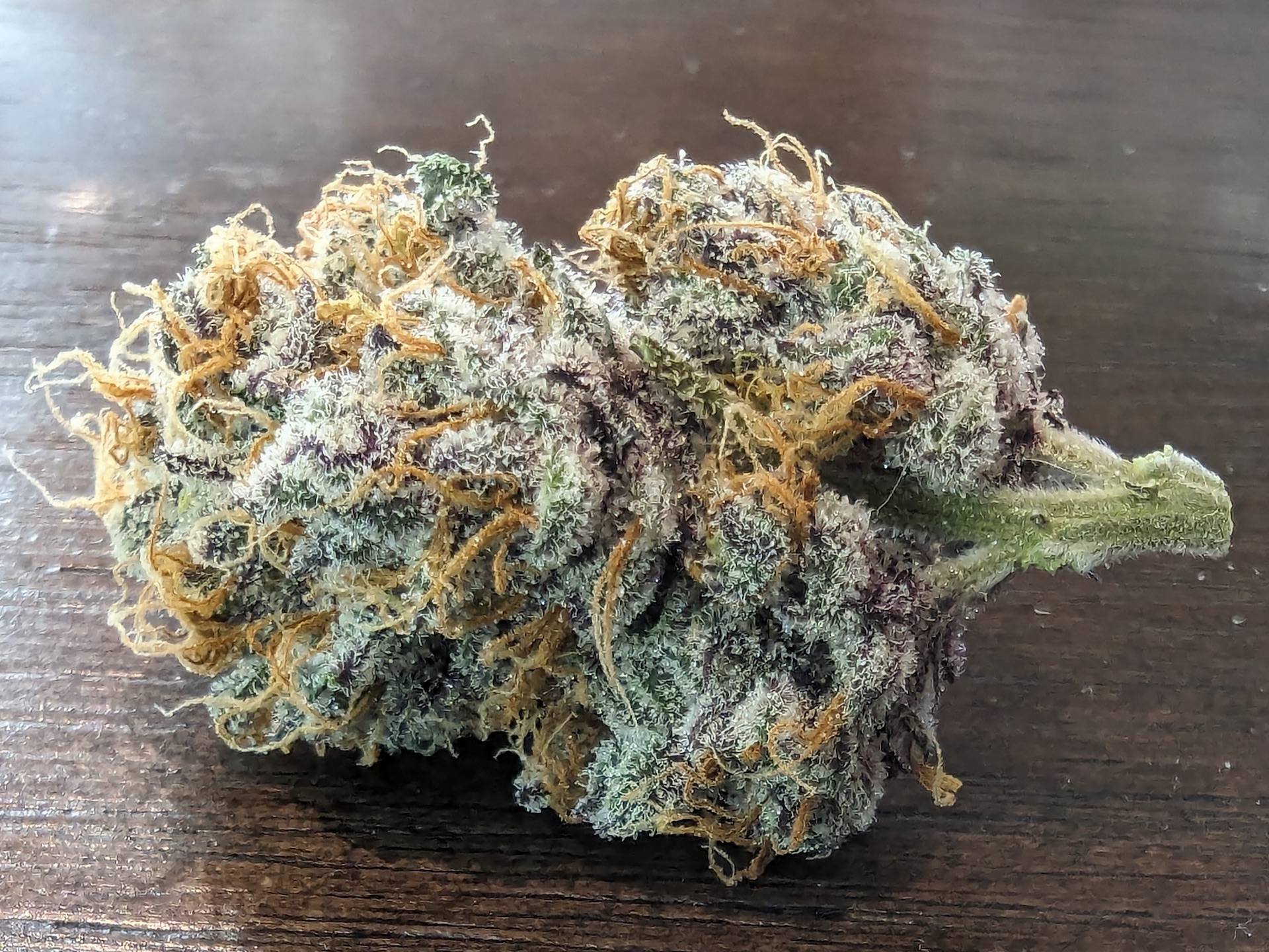 Dense trichome-covered cannabis bud from indoor grow operation in Canada