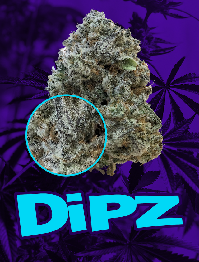 DIPZ Cannabis Strain / Sativa Dominant Hybrid