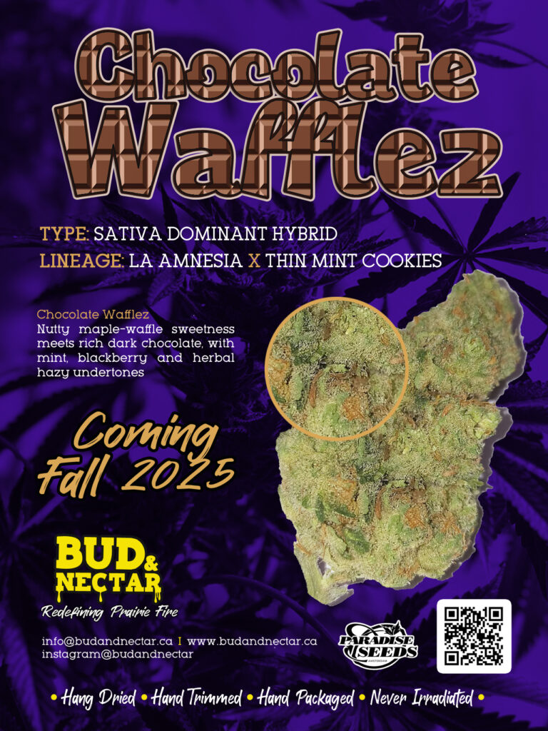 Chocolate Wafflez / Sativa Dominant Hybrid