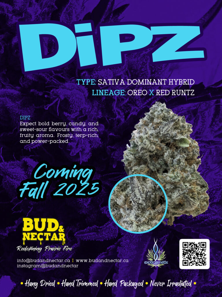 DIPZ Strain / Sativa Dominant Hybrid