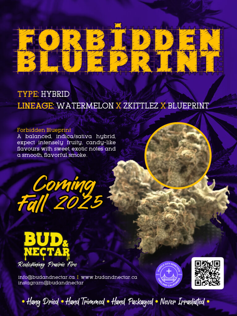 Forbidden Blueprint / Hybrid