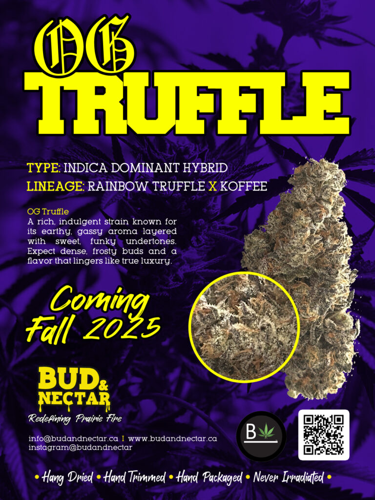 OG Truffle / Indica Dominant Hybrid