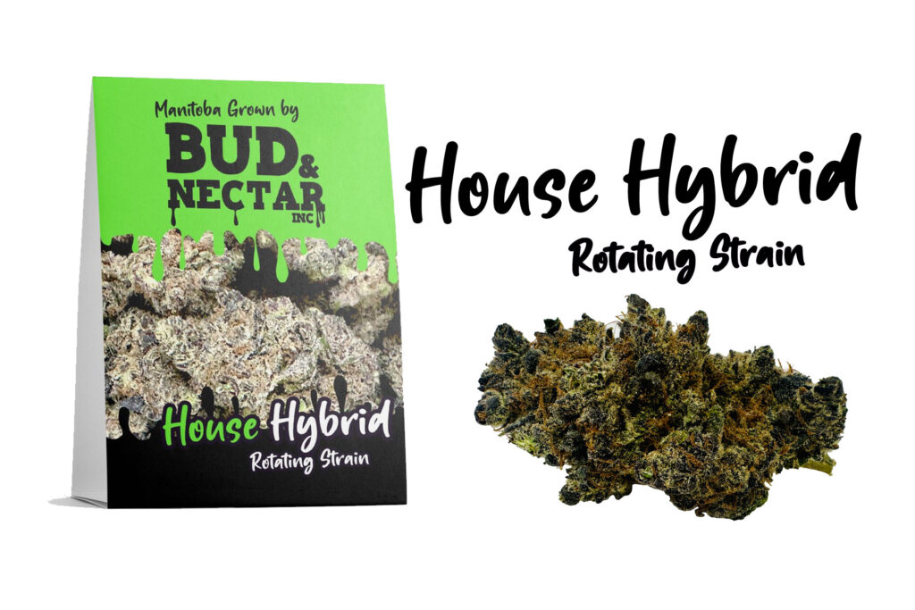House Hybrid Weed strain