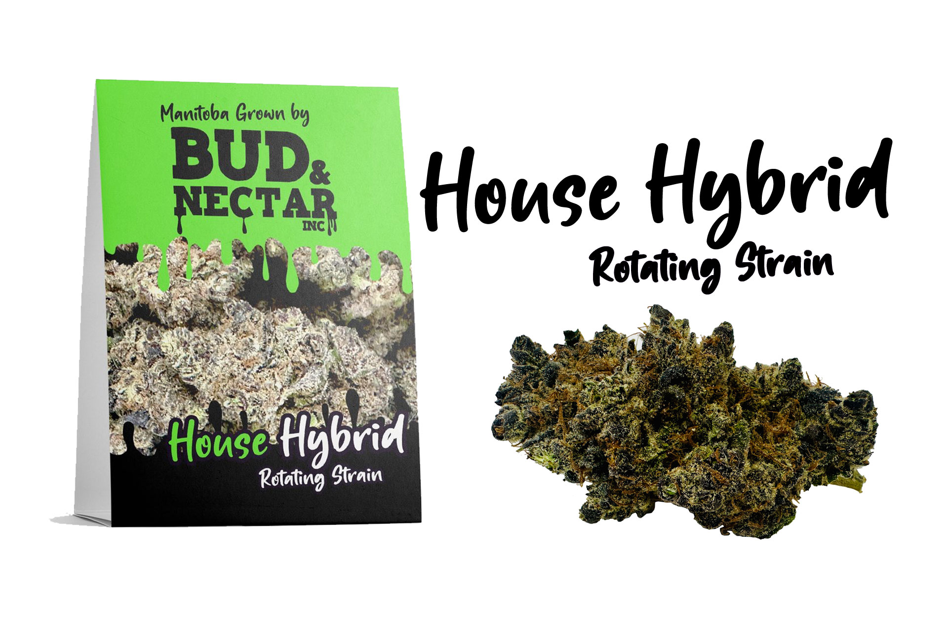 House Hybrid Weed strain