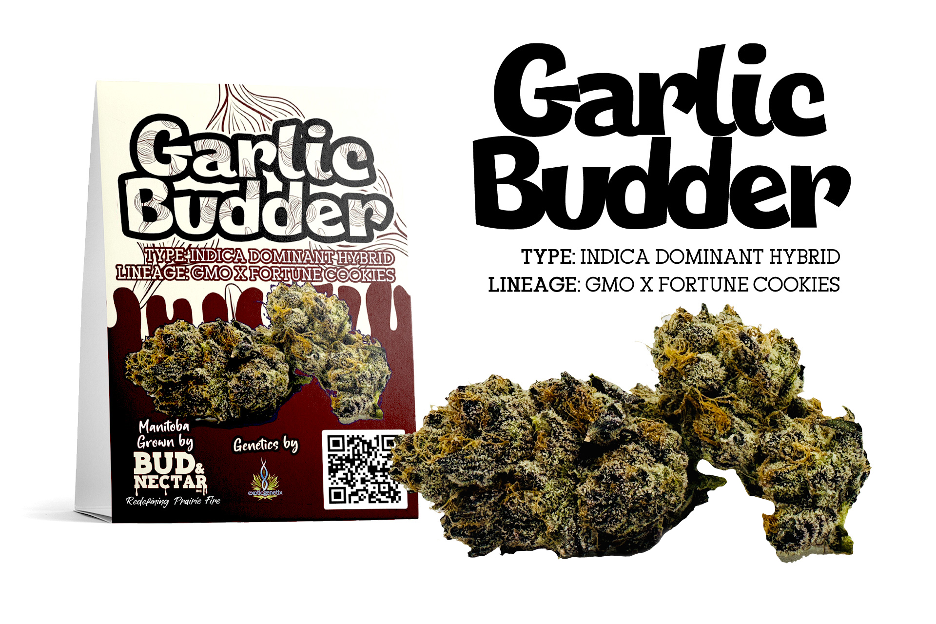 GARLICBUDDER-slide-1